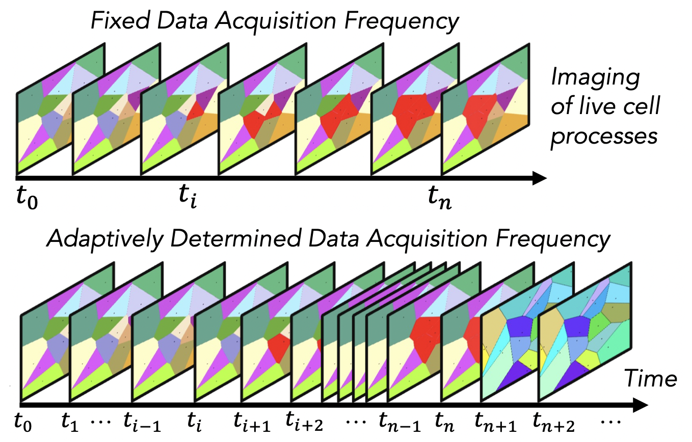 Hyperspectral spatiochemical imaging goes autonomous